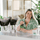Does birth control affect acne? - LEINE The Seattle Acne Clinic & Wellness Spa